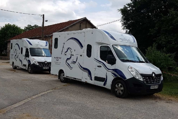 Proteo Stalle 170CV 2018