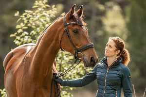 Voir la fiche concessionnaire