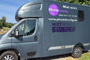 Voir la fiche concessionnaire